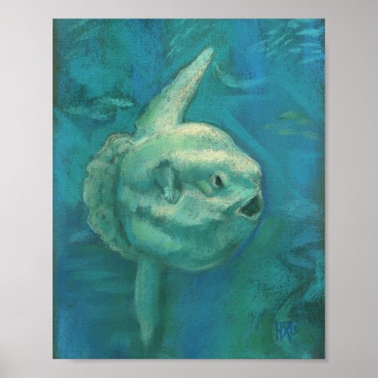 Sun Fish, Mola Mola Ocean Underwater Animals Art P Poster (Voorkant)