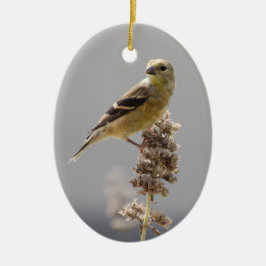 Sun Gilded Goldfinch Keramisch Ornament
