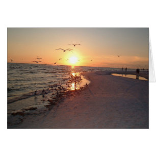 Sun-instelling op Siesta