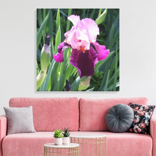 Sun-Kust Pink Iris Flower Canvas (Insitu (Woonkamer))