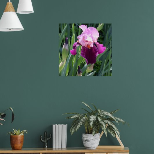 Sun-Kust Pink Iris Flower Poster (Woonkamer 1)