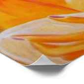 Sun Kust, Poster, sinaasappel, leven, aanbidding, Poster (Hoek)