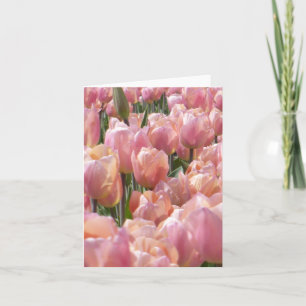 Sun-kust roze Tulips Notitiekaartje