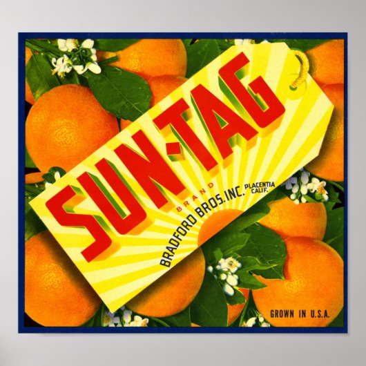 Sun-Label Merk Sinaasappel Fruit Crate Label Poster (Voorkant)