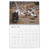 Sun, mer et surfent le calendrier de 12 mois (Feb 2027)