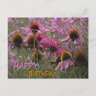 Sun Pet Flowers Cust. Text Happy Birthday Briefkaa Briefkaart
