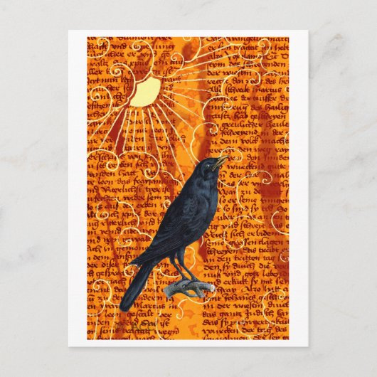 Sun Raven Briefkaart (Voorkant)