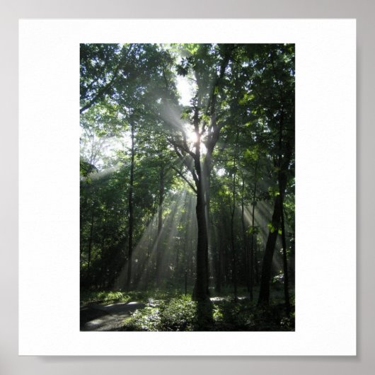 Sun Rays, Misty Morning Poster (Voorkant)