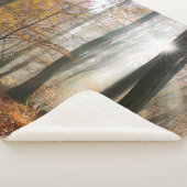 Sun Rays Mystic Schilderachtig Herfst Forest Natuu Sherpa Deken (3/4)