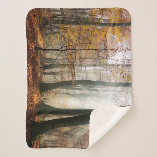Sun Rays Mystic Schilderachtig Herfst Forest Natuu Sherpa Deken (Voorkant)