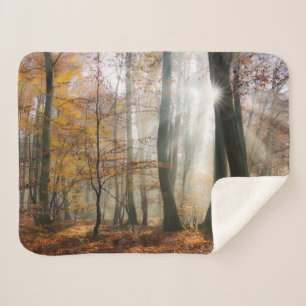 Sun Rays Mystic Schilderachtig Herfst Forest Natuu Sherpa Deken