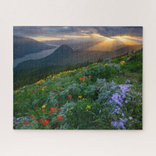 Sun Rays Shine op Wildbloemen op Dog Mountain Legpuzzel