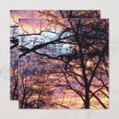 Sun Rise (Voorkant / Achterkant)