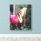 Sun Shining through Tiger Swallowtail Canvas Afdruk (Insitu (Houten vloer))