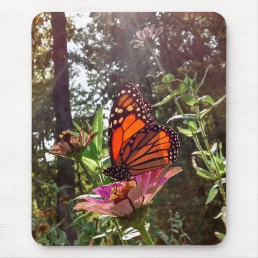 Sun Streaming Down op Monarch op Bloem Muismat (Voorkant)