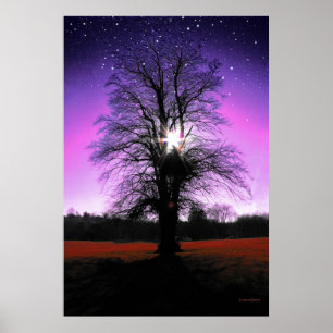 Sun Tree-sterren afdrukken Poster