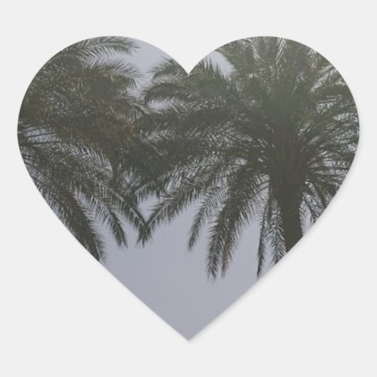 Sun Trees Egypt. Hart Sticker (Voorkant)