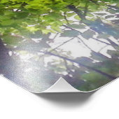 Sun Trees (Ohio) - Impression photo (Coin)