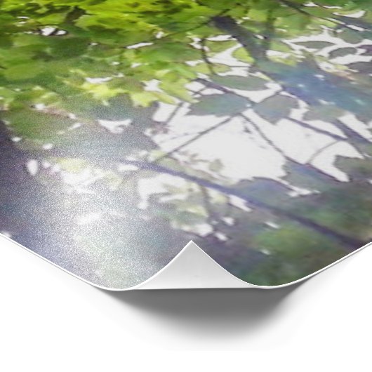 Sun Trees (Ohio) - Impression photo (Coin)