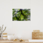 Sun Trees (Ohio) - Poster (Keuken)