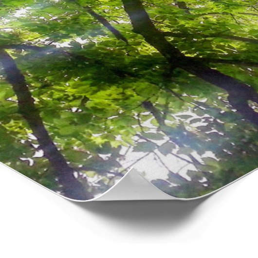 Sun Trees (Ohio) - Poster (Coin)