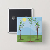 Sun & Trees - Vierkante Button 5,1 Cm (Voorkant /achterkant)