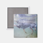 Sun Valley, Idaho, Verenigde Staten. Magneet (Voorkant / Achterkant)