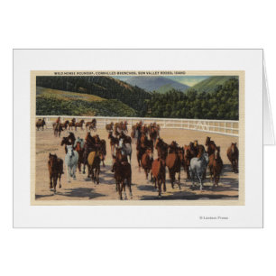 Sun Valley, identification - rassemblement de
