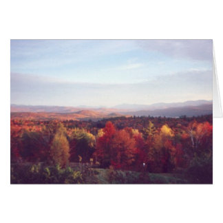 "Sun vangt de treetops"