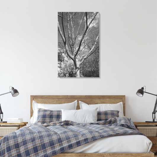 Sun Worshipping Tree Canvas Afdruk (Insitu (Slaapkamer))