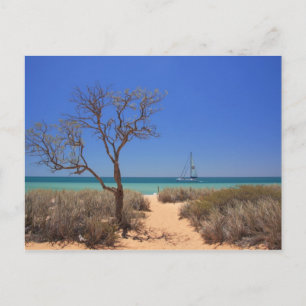 Sun, Zee, Sand - Monkey Mia Western Australië Briefkaart
