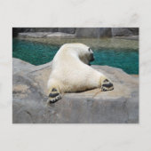 Sunbather Briefkaart (Voorkant)