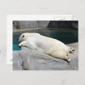 Sunbather too briefkaart (Voorkant / Achterkant)