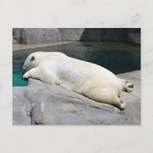 Sunbather too briefkaart