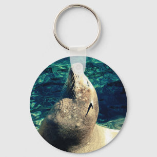 Sunbathing Sea Lion Sleutelhanger