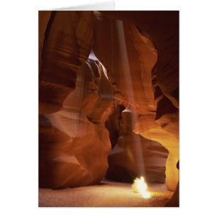 Sunbeam frappant l'amarante sur le plancher de