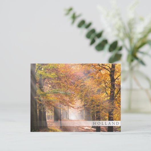 Sunbeams dans une forêt d'automne, carte postale d (Debout devant)