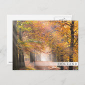 Sunbeams dans une forêt d'automne, carte postale d (Devant / Derrière)