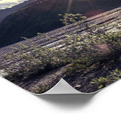 Sunbeams de l'Alaska | Poster (Coin)