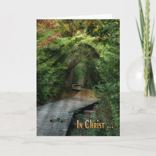 Sunbeams in Bossen Sympathiekaart Kaart