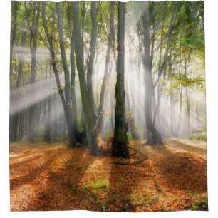 Sunbeams in een slecht beukenbos in de herfst - douchegordijn