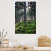 Sunbeams in het Zwarte Woud Poster (Keuken)