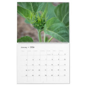 Sunbloemen Calendar Kalender (Jan 2026)