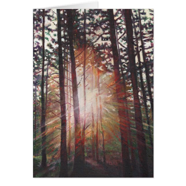 Sunburst 2010 (Voorkant)