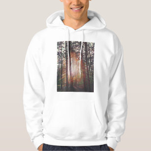 Sunburst 2010 hoodie