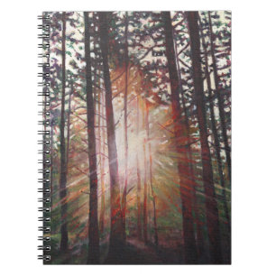 Sunburst 2010 notitieboek