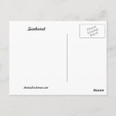 Sunburst Briefkaart (Achterkant)