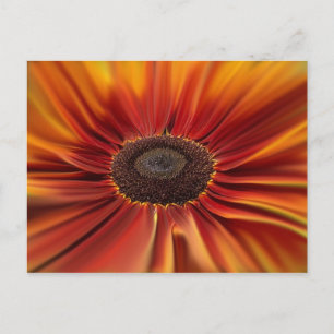 Sunburst Briefkaart
