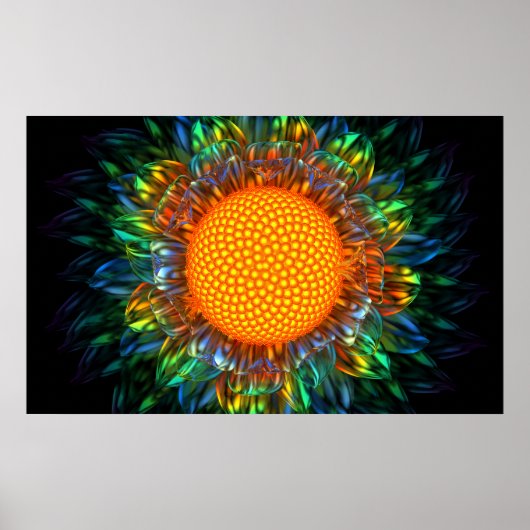 Sunburst Daisy Poster (Voorkant)