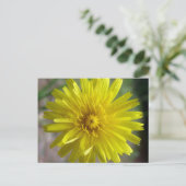 Sunburst Dew Briefkaart (Staand voorkant)